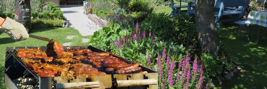 Cum sa organizezi un party in gradina casei tale