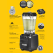 Blender barman Fury® HBH550R-CE 1,8 l 880 W, Hamilton Beach Commercial