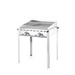 Grill Green Fire din inox, 2x 1/1