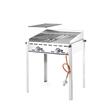 Grill Green Fire din inox, 2x 1/1