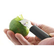 Cutit decorare pentru coaja citrice, Hendi, lama inox, lungime 15.5 cm