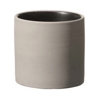 Cupa Mia 60 mm, 100 ml Fine Dine 