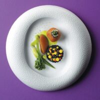 Farfurie gourmet Fizz  270mm Fine Dine