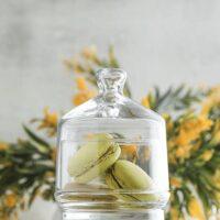 Recipient din sticla Brighton cu capac, 285 ml, LAV